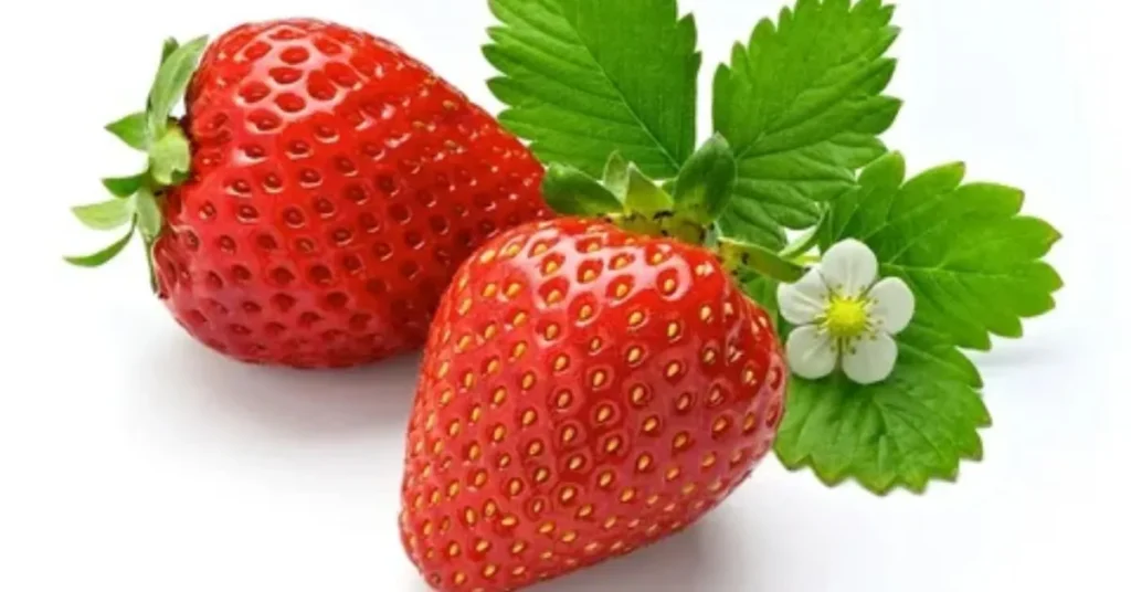 Two ripe red strawberries with green leaves and a small white flower on a plain white background.